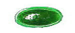 Antik-Muggel oval 34 x 17mm - gr�n